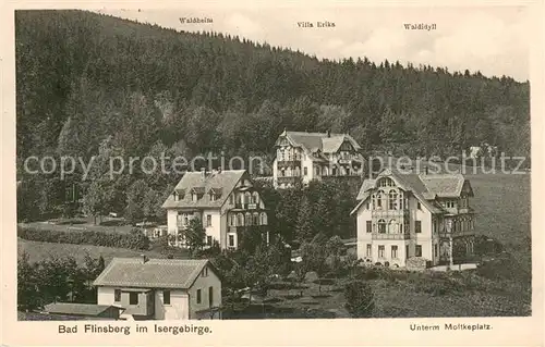 AK / Ansichtskarte Bad_Flinsberg_Swieradow_Zdroj Waldheim Villa Erika Waldidyll Unterm Moltkeplatz Bad_Flinsberg