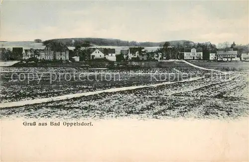 AK / Ansichtskarte Bad_Oppelsdorf_Opolno_Zdroj Panorama Bad_Oppelsdorf