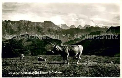 AK / Ansichtskarte Urnaesch_AR Auf der Hochalp Almvieh Kuehe Blick auf die Churfuersten Appenzeller Alpen Urnaesch_AR