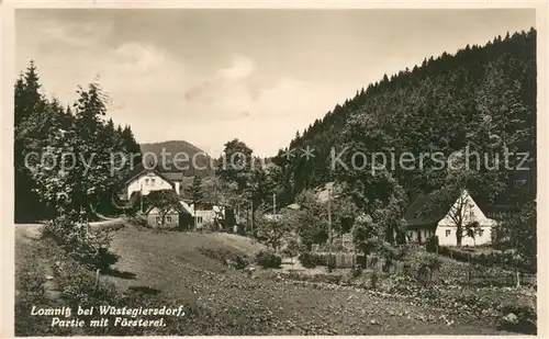 AK / Ansichtskarte Lomnitz_Lomnica_Gluszyca_Wuestegiersdorf Partie mit Foersterei 