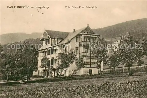 AK / Ansichtskarte Bad_Flinsberg_Swieradow_Zdroj Villa Prinz Eitel Friedrich Bad_Flinsberg