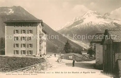 AK / Ansichtskarte Trelechamp_74 Hotel du Col des Montets et Aiguille Verte 