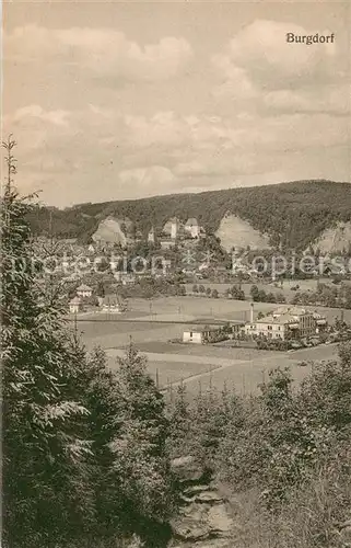 AK / Ansichtskarte Burgdorf_Bern Panorama Burgdorf Bern