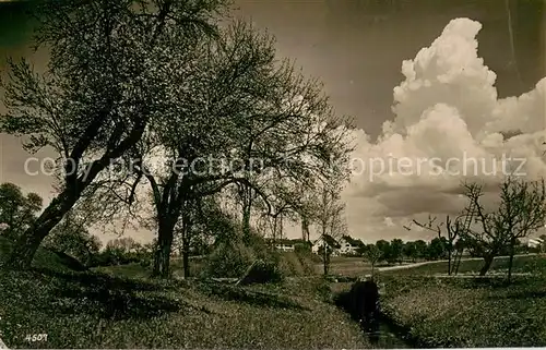 AK / Ansichtskarte Schlieren_Dietikon_ZH Panorama 