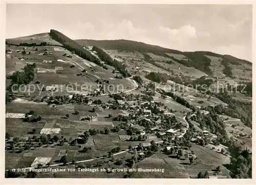 AK / Ansichtskarte Tschingel_Gunten Fliegeraufnahme mit Blumenberg Tschingel Gunten