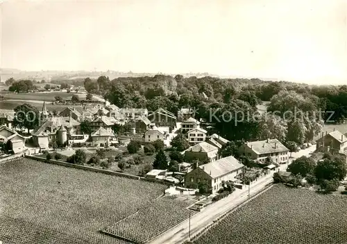 AK / Ansichtskarte Allaman Fliegeraufnahme Allaman