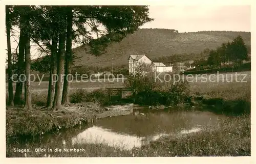 AK / Ansichtskarte Siegen_Westfalen Blick in die Numbach Siegen_Westfalen