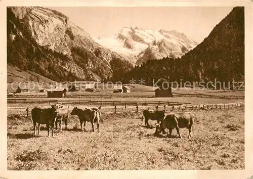 AK / Ansichtskarte Obertoggenburg Viehweide Kuehe Alpenblick Obertoggenburg