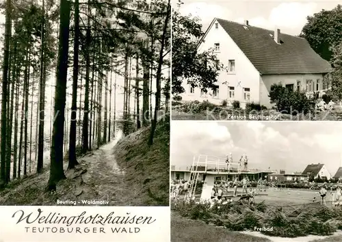 AK / Ansichtskarte Wellingholzhausen Freibad Pension Beutlingshof Waldmotiv Wellingholzhausen