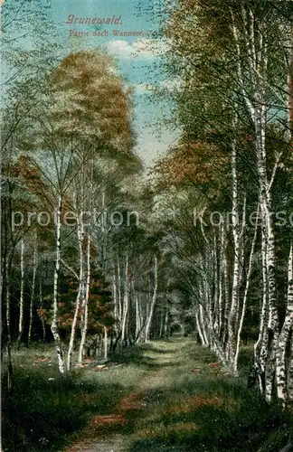 AK / Ansichtskarte Grunewald_Berlin Partie am Wannsee Grunewald Berlin