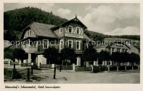 AK / Ansichtskarte Sitzendorf_Thueringen Hotel Semmelpeter Sitzendorf Thueringen