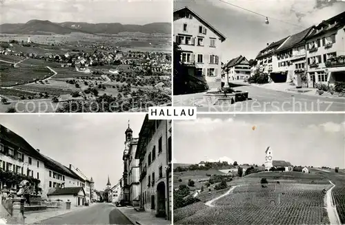 AK / Ansichtskarte Hallau Fliegeraufnahme Ortspartien Hallau