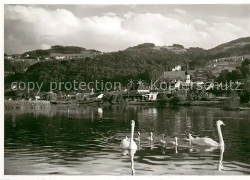 AK / Ansichtskarte Rheineck__SG Seepartie Schwaene 