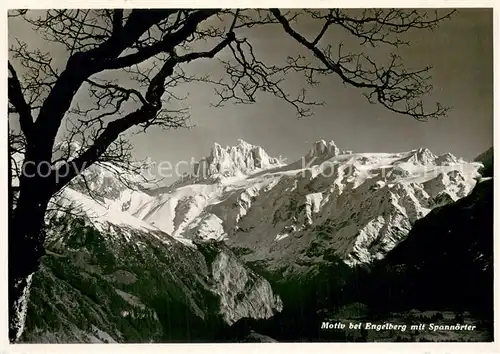 AK / Ansichtskarte Engelberg__OW Bergwelt Motiv mit Spannoerter Urner Alpen 