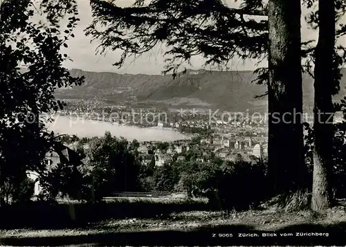AK / Ansichtskarte Zuerich_ZH Panorama Blick auf den Zuerichsee vom Zuerichberg aus Zuerich_ZH