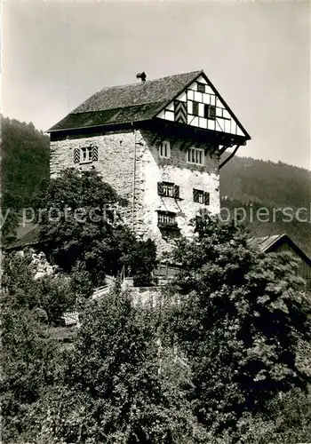 AK / Ansichtskarte Altstaetten_SG Burg Neu Altstaetten Altstaetten_SG