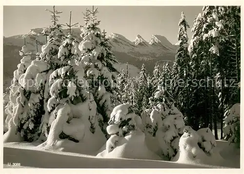 AK / Ansichtskarte Unterwasser_Toggenburg Winterimpressionen Churfirsten Unterwasser Toggenburg