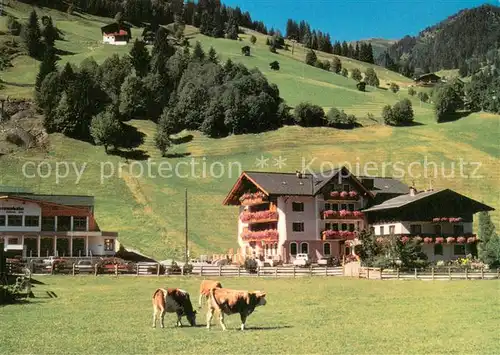AK / Ansichtskarte Grossarl Hotel Auhof im Salzburger Land Viehweide Kuehe Grossarl