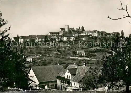 AK / Ansichtskarte Regensberg_Dielsdorf Panorama Regensberg Dielsdorf