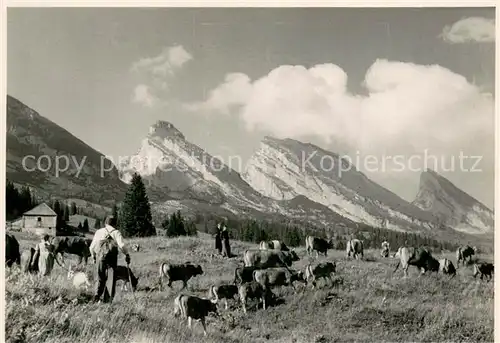 AK / Ansichtskarte Wildhaus_SG Panorama Wildhaus SG