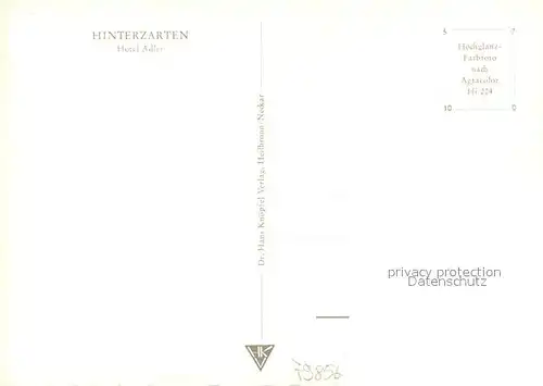 AK / Ansichtskarte Hinterzarten Hotel Adler Terrassenansicht Hinterzarten