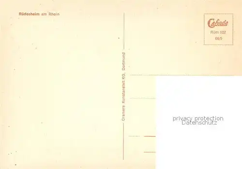 AK / Ansichtskarte Ruedesheim_am_Rhein Fliegeraufnahme Teilansicht 