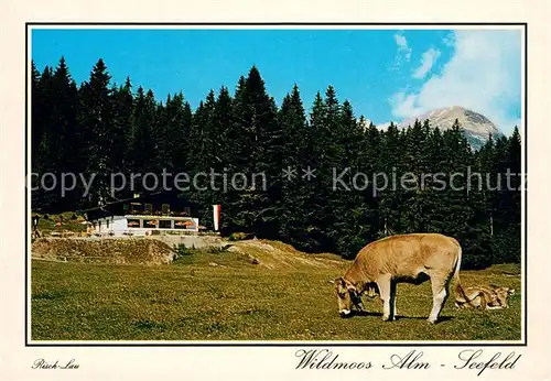AK / Ansichtskarte Seefeld_Tirol Wildmoos Alm Seefeld Tirol