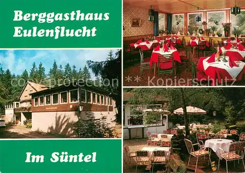 AK / Ansichtskarte Bad_Muender Berggasthaus Eulenflucht im Suentel Gastraeume Freiterrasse Bad_Muender