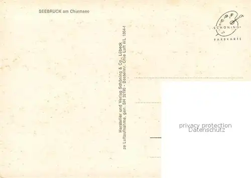 AK / Ansichtskarte Seebruck_Chiemsee Fliegeraufnahme Seebruck Chiemsee
