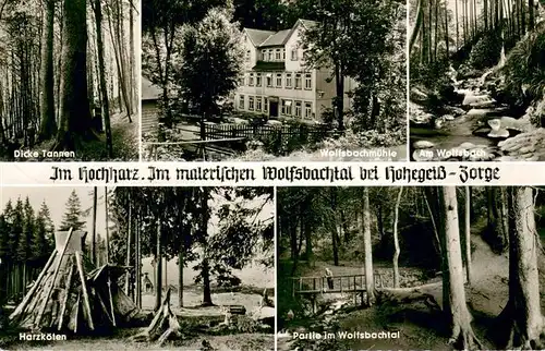 AK / Ansichtskarte Hohegeiss_Harz Dicke tannen Wolfsbachmuehle Am Wolfsbach Harzkoeten Wolfsbachtal Hohegeiss Harz