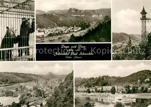 AK / Ansichtskarte Bad_Schandau Baeren Taps und Tine Fahrstuhl Elbe Dampfer Panorama Saechsische Schweiz Bad_Schandau