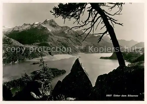 AK / Ansichtskarte Silsersee Panorama Alpen Silsersee