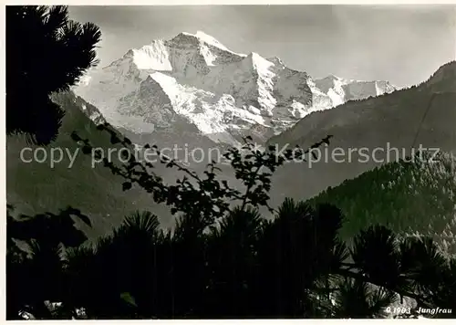 AK / Ansichtskarte Jungfrau_BE Panorama Bergwelt Berner Alpen Jungfrau BE