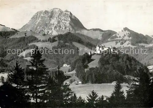 AK / Ansichtskarte Gruyeres_FR Vue panoramique et le Moleson Alpes Gruyeres FR