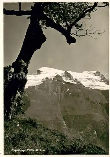 AK / Ansichtskarte Engelberg__OW Blick zum Titlis Urner Alpen 