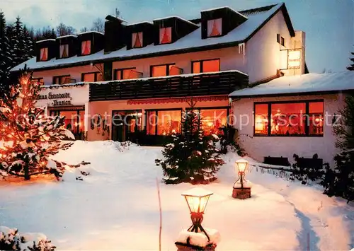 AK / Ansichtskarte Steina_Suedharz Hotel Pension Cafe Landhaus Helmboldt im Zauber eines Winterabends Steina Suedharz