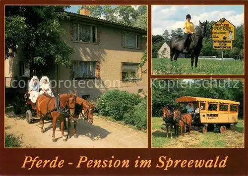 AK / Ansichtskarte Mueschen_Niederlausitz Pferdepension Fahr  und Reittouristik Urlaub auf dem Bauernhof Planwagen Mueschen_Niederlausitz