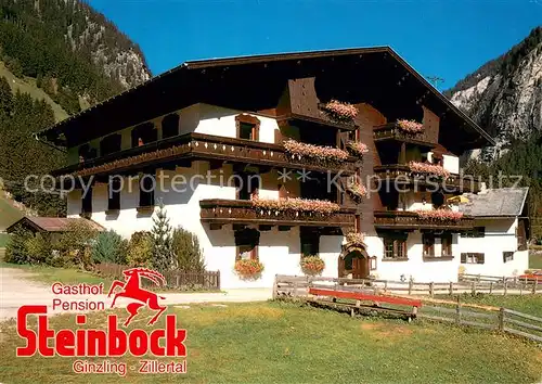 AK / Ansichtskarte Ginzling Gasthof Pension Steinbock Ginzling