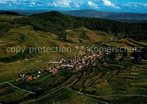 AK / Ansichtskarte Bickensohl Fliegeraufnahme Hotel Restaurant Rebstock Bickensohl
