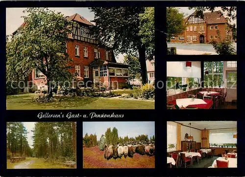 AK / Ansichtskarte Luebberstedt_Lueneburger_Heide Gellersens Gast und Pensionshaus Gastraeume Waldpartie Schafherde Luebberstedt_Lueneburger