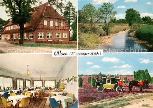 AK / Ansichtskarte Ollsen Gasthaus Zur Eiche Teilansichten d. Lueneburger Heide m. Kutsche Ollsen
