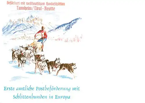 AK / Ansichtskarte Tannheim_Tirol Hundeschlitten Rennen Kuenstlerkarte Erste amtliche Postbefoerderung mit Schlittenhunden in Europa

 Tannheim Tirol