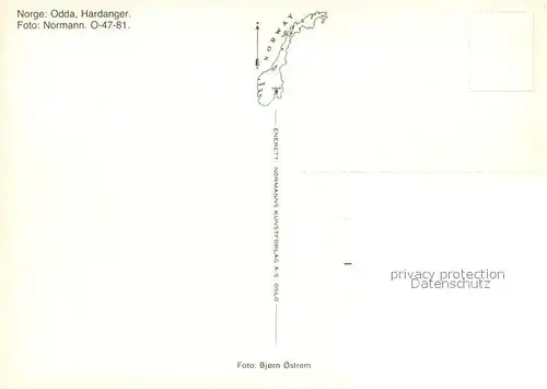 AK / Ansichtskarte Odda Fjord Berge Odda