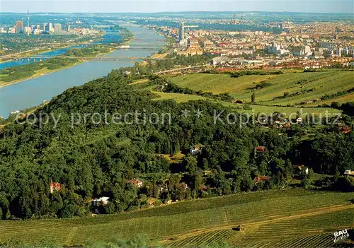 AK / Ansichtskarte Wien Panorama Blick vom Leopoldsberg Wien