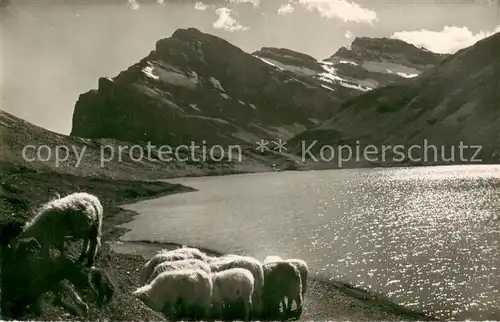 AK / Ansichtskarte Gemmipass_2322m_VS am Daubensee 