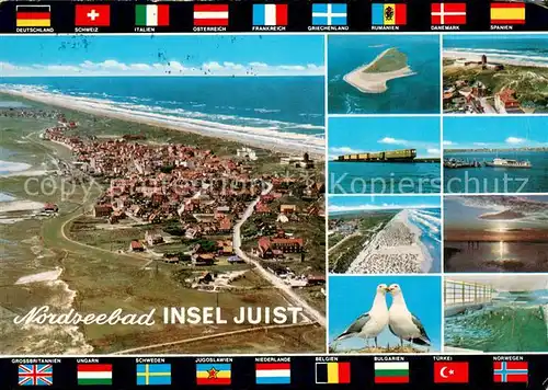 AK / Ansichtskarte Juist_Nordseebad Inseldorf Nordseeinsel Luftbild Inselzug Faehre Moewen Wellenbad Juist_Nordseebad