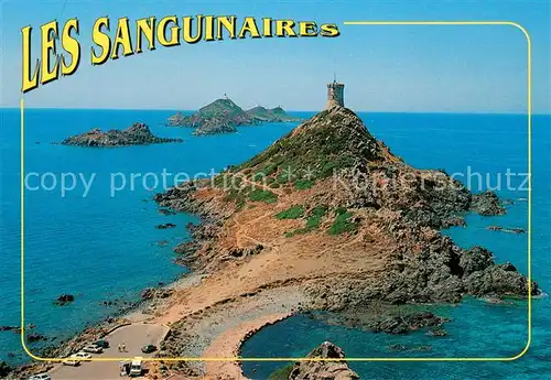 AK / Ansichtskarte Les_Sanguinaires_Corse Entree nord du Golfe dAjaccio Vue aerienne 