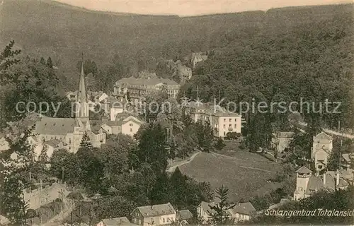 AK / Ansichtskarte Schlangenbad_Taunus Panorama Schlangenbad_Taunus