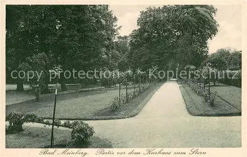 AK / Ansichtskarte Bad_Meinberg Partie vor dem Kurhaus zum Stern Bad_Meinberg