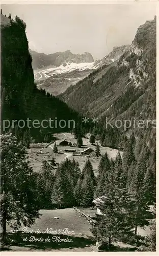 AK / Ansichtskarte Bex_VD Pont de Nant et Dents de Morcles Bex_VD